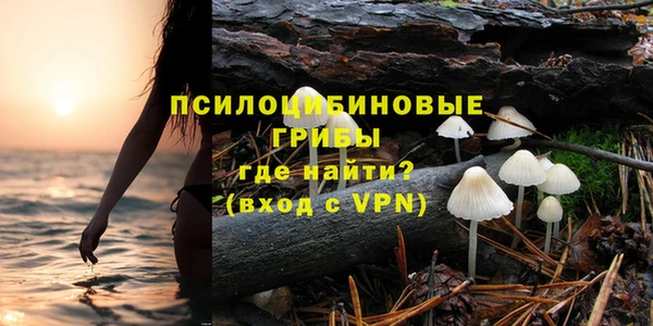 альфа пвп Вяземский