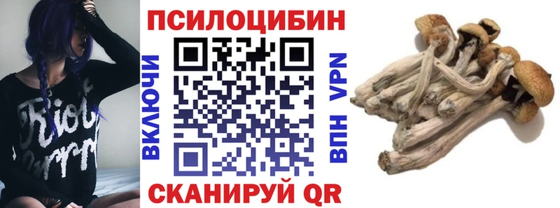 кракен ТОР  Елец  Псилоцибиновые грибы Cubensis 