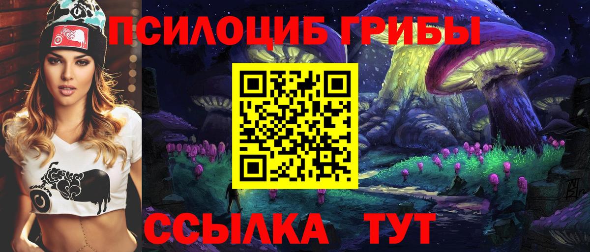Галлюциногенные грибы прущие грибы Елец