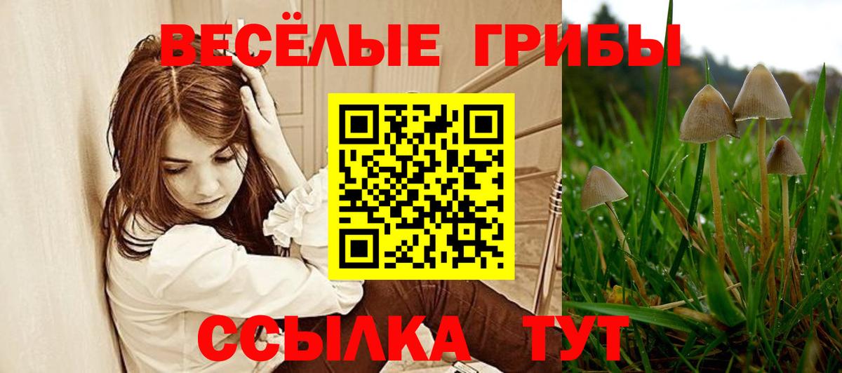 Галлюциногенные грибы GOLDEN TEACHER  Вход с VPN  Елец  Галлюциногенные грибы GOLDEN TEACHER 