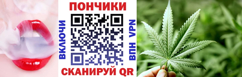 где можно купить MEGA онион МАРИХУАНА план Елец